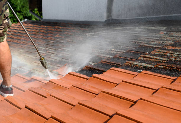 Local Pressure Washing Services in Fishers, IN