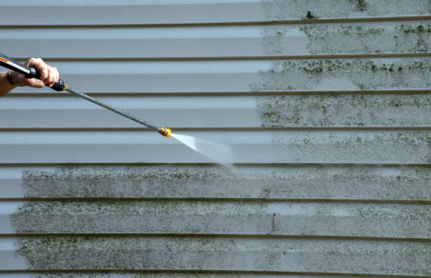 Best Fence Pressure Washing  in Fishers, IN