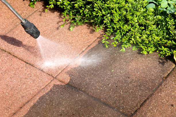 Best Affordable Pressure Washing  in Fishers, IN