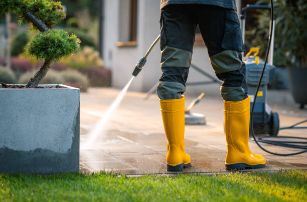 Best Residential Pressure Washing Services  in Fishers, IN
